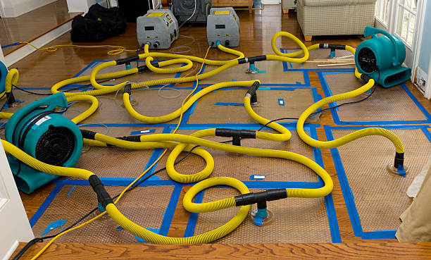 Professional Water Extraction technician working in Newport, NC